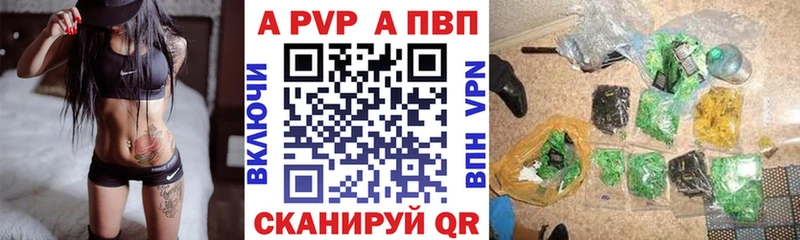 блэк спрут как войти  Каргат  A-PVP крисы CK 