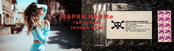 хмурый Алзамай