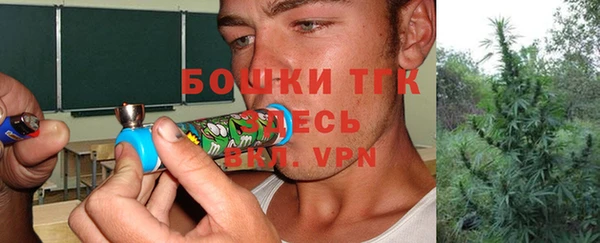 хмурый Алзамай