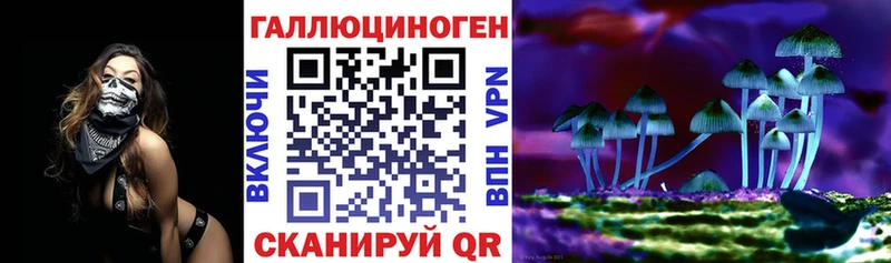 Галлюциногенные грибы Magic Shrooms  дарнет шоп  Каргат 